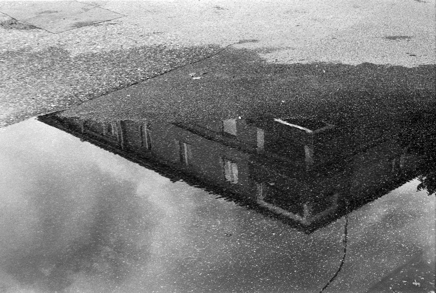 7343__29-2