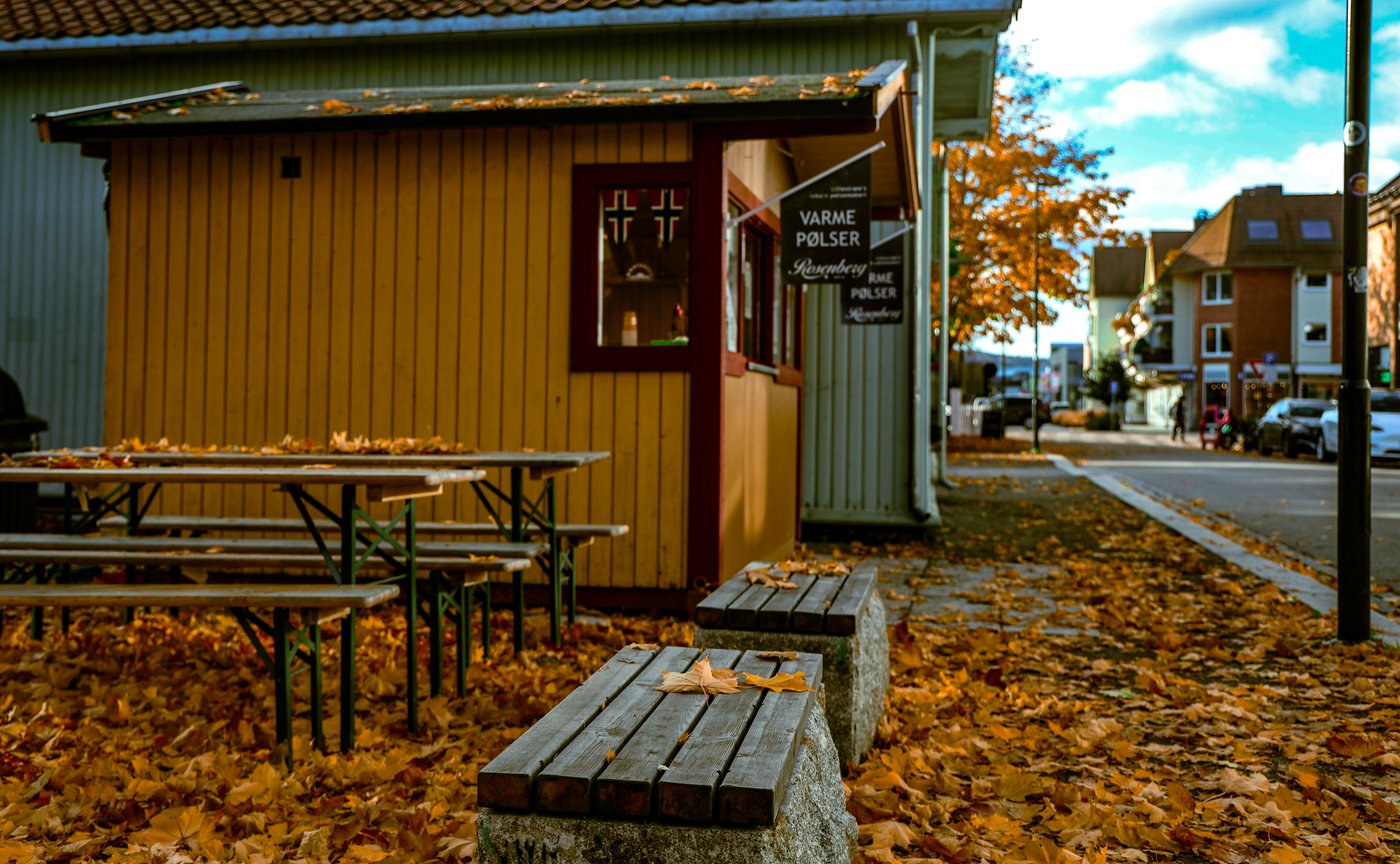Autumn